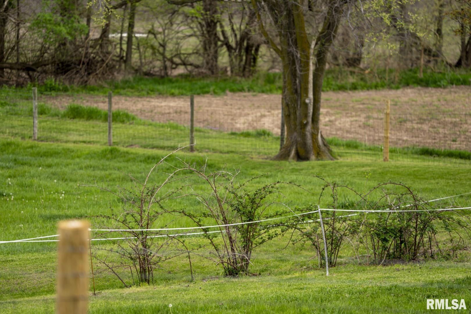 1359 South Bridge Road Niantic, IL 62551 - Photo 56 of 84