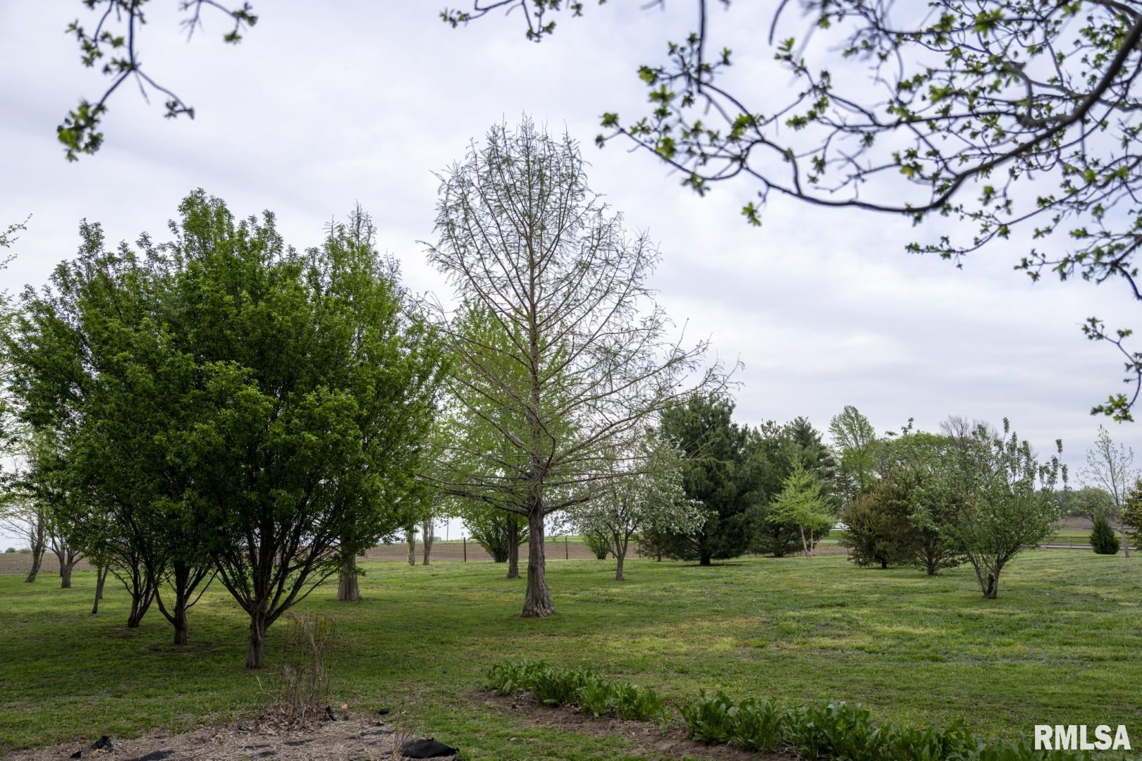 1359 South Bridge Road Niantic, IL 62551 - Photo 57 of 84