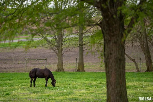 $269,500 | 1359 South Bridge Road, Niantic, IL 62551