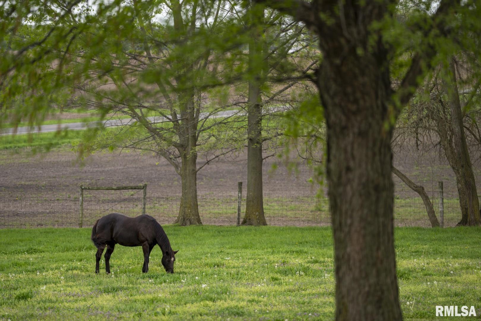1359 South Bridge Road Niantic, IL 62551 - Photo 62 of 84