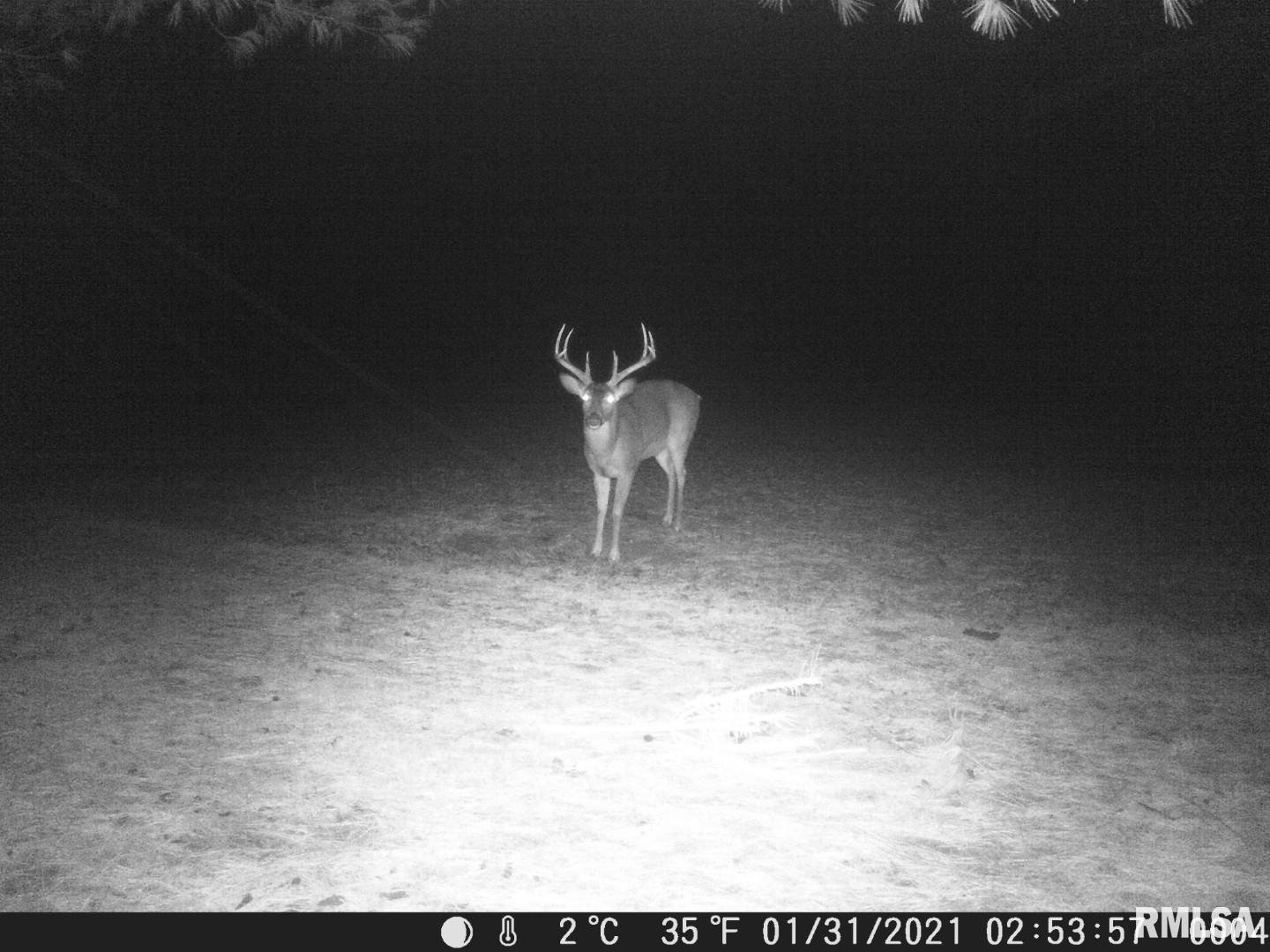 1359 South Bridge Road Niantic, IL 62551 - Photo 81 of 84