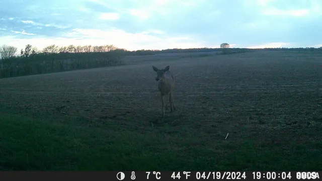 $269,500 | 1359 South Bridge Road, Niantic, IL 62551