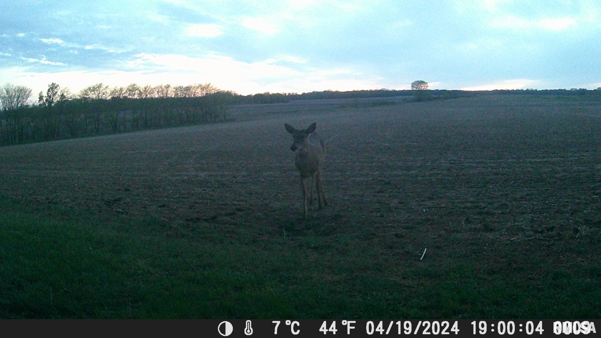 1359 South Bridge Road Niantic, IL 62551 - Photo 82 of 84