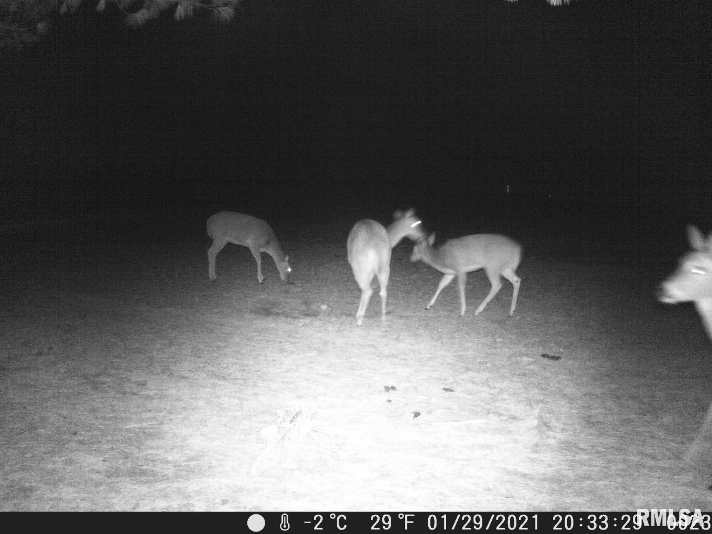 1359 South Bridge Road Niantic, IL 62551 - Photo 84 of 84