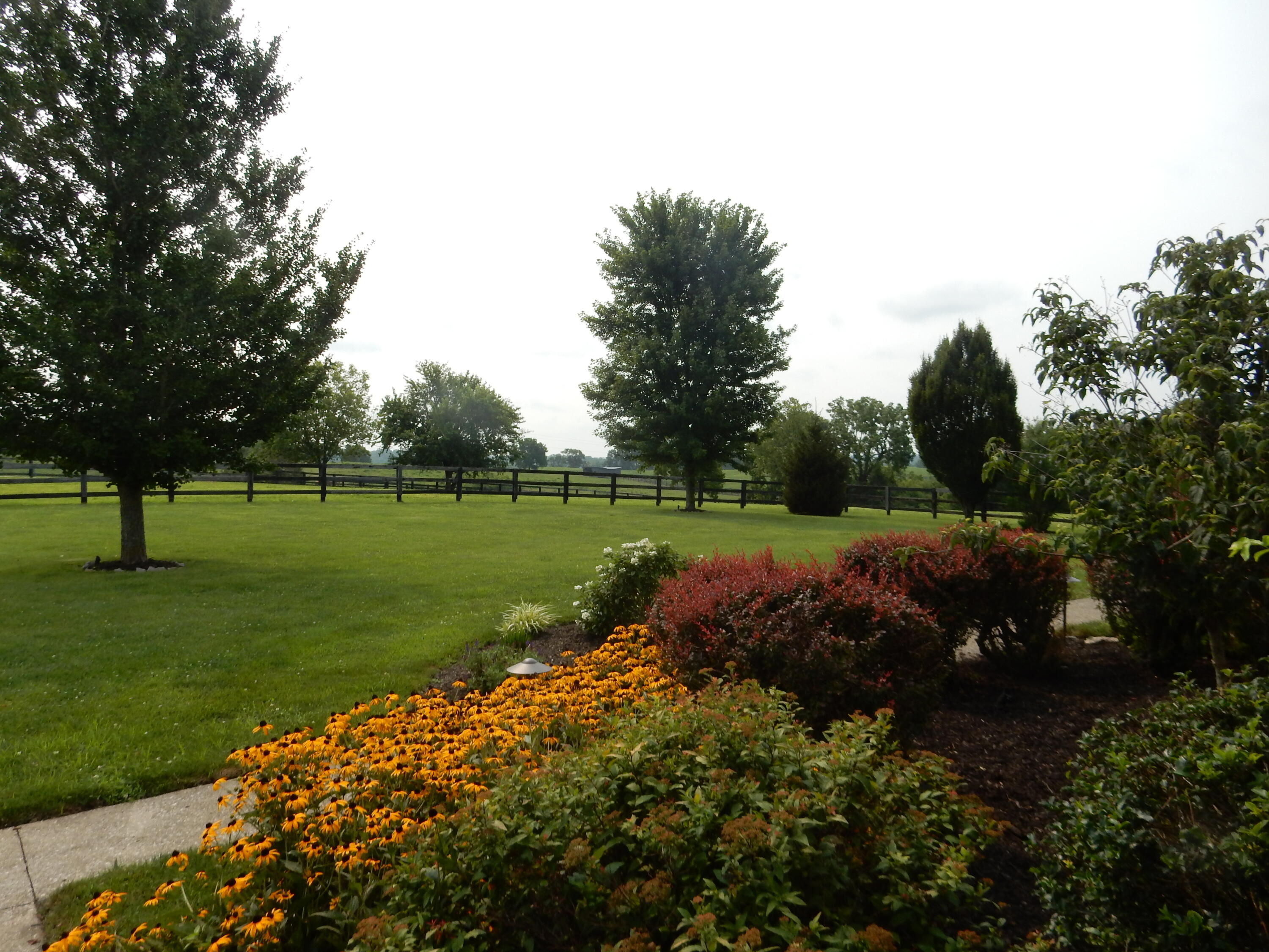 1081 Hifner Road Versailles, KY 40383 - Photo 14 of 91 1081 Hifner