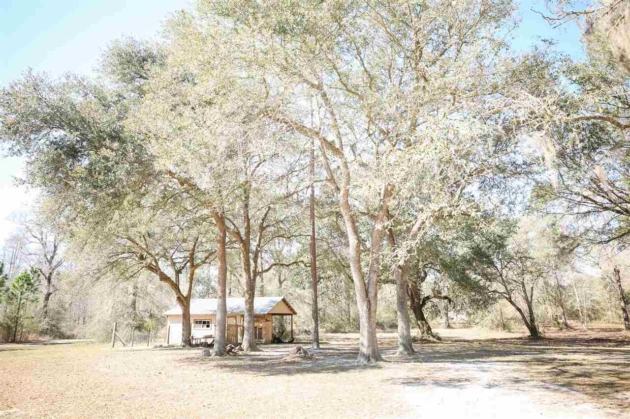 5679 Woods Creek Road Perry, FL 32347 - Photo 13 of 35
