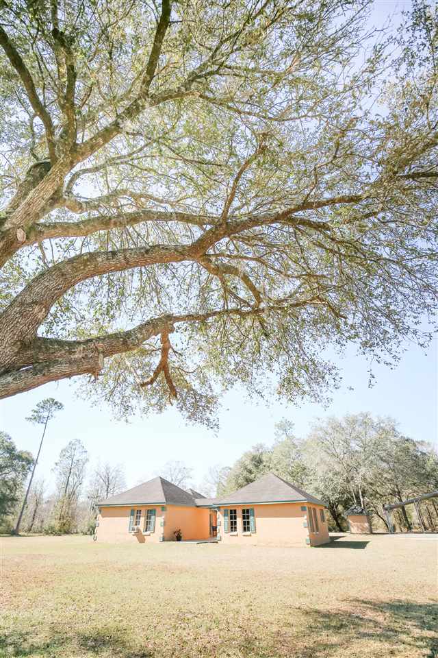 5679 Woods Creek Road Perry, FL 32347 - Photo 34 of 35