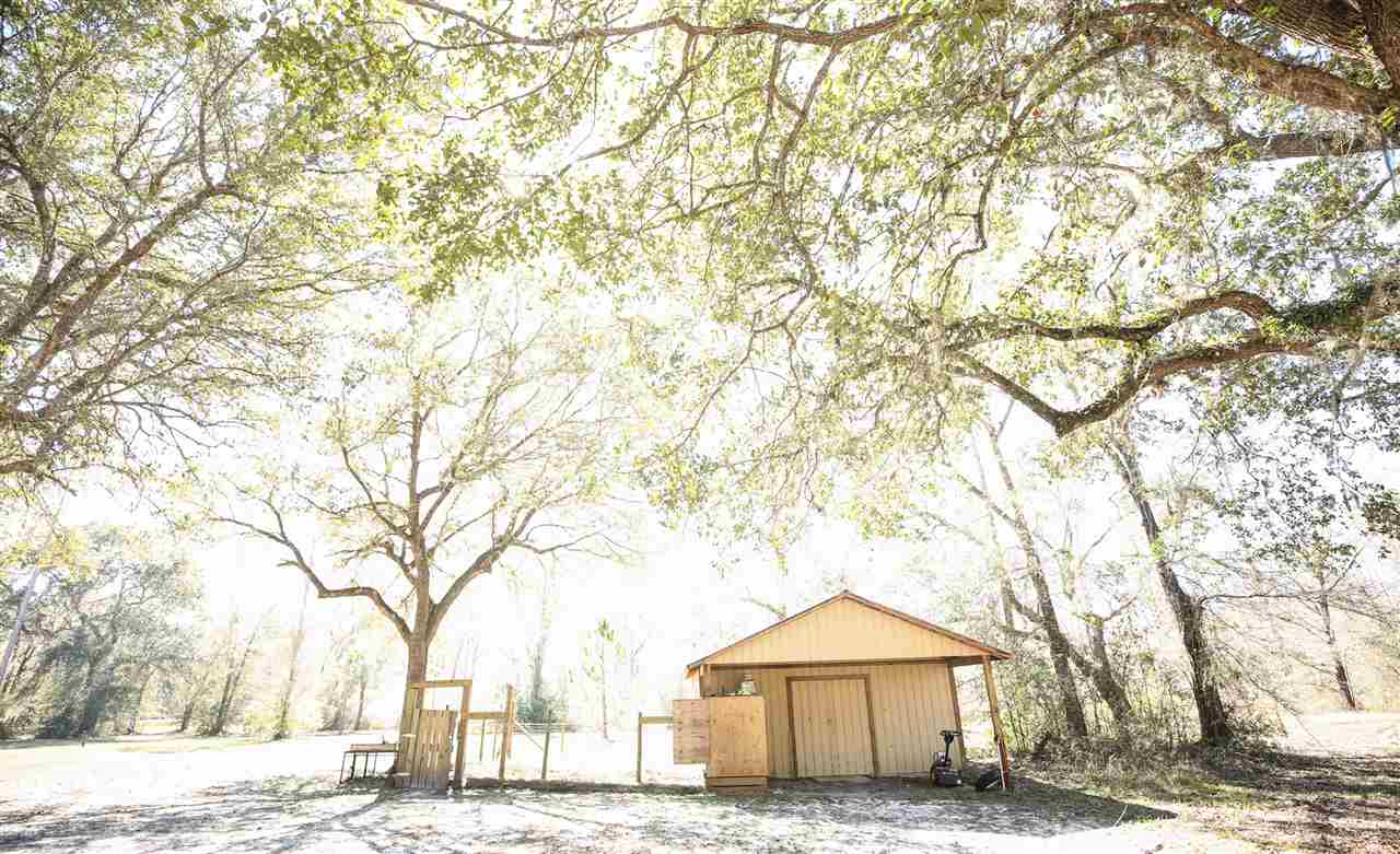 5679 Woods Creek Road Perry, FL 32347 - Photo 8 of 35