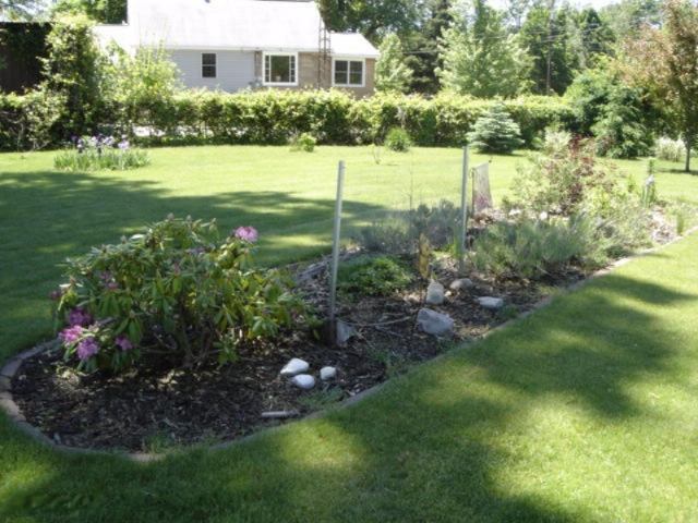 1306 Quarterline Road Muskegon, MI 49442 - Photo 3 of 13 landscaping 1