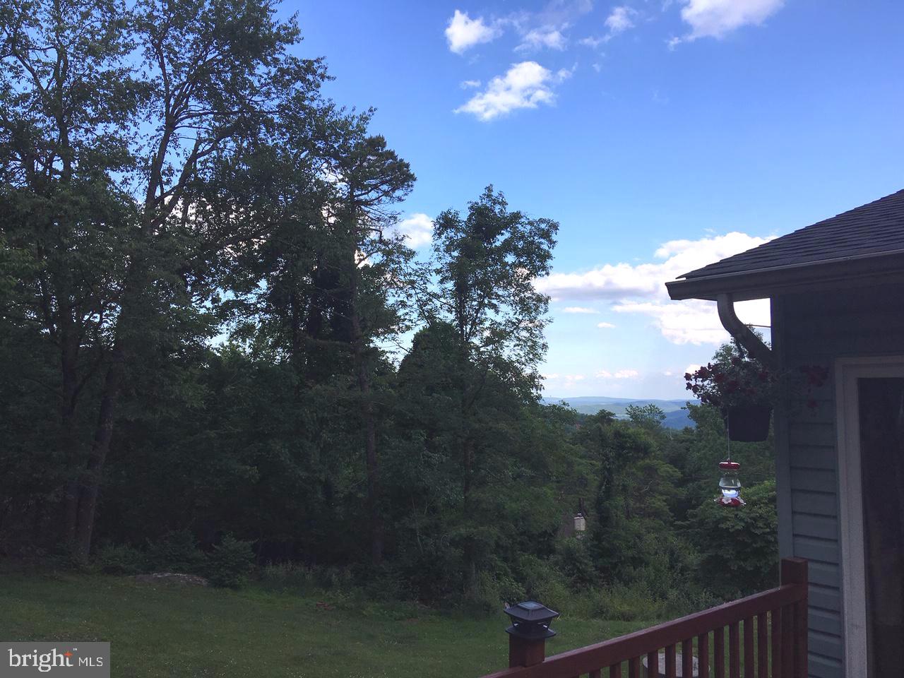 77 Arrowood Road Linden, VA 22642 - Photo 21 of 22 SIDE MOUNTAIN VIEW