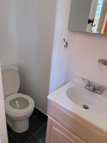 a bathroom with a sink and a toilet