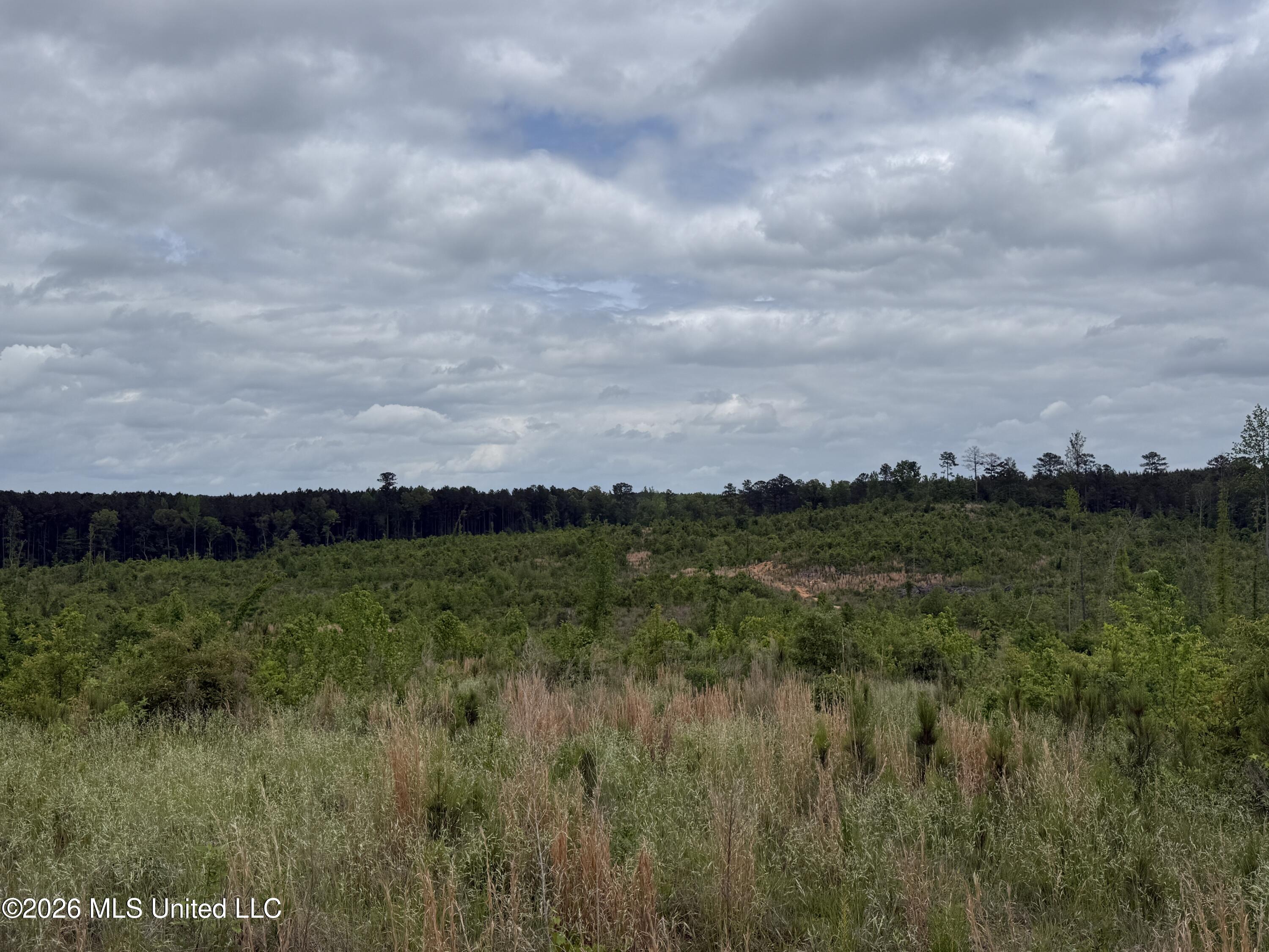 5223 County Road Ethel, MS 39067 - Photo 5 of 22 IMG_4762