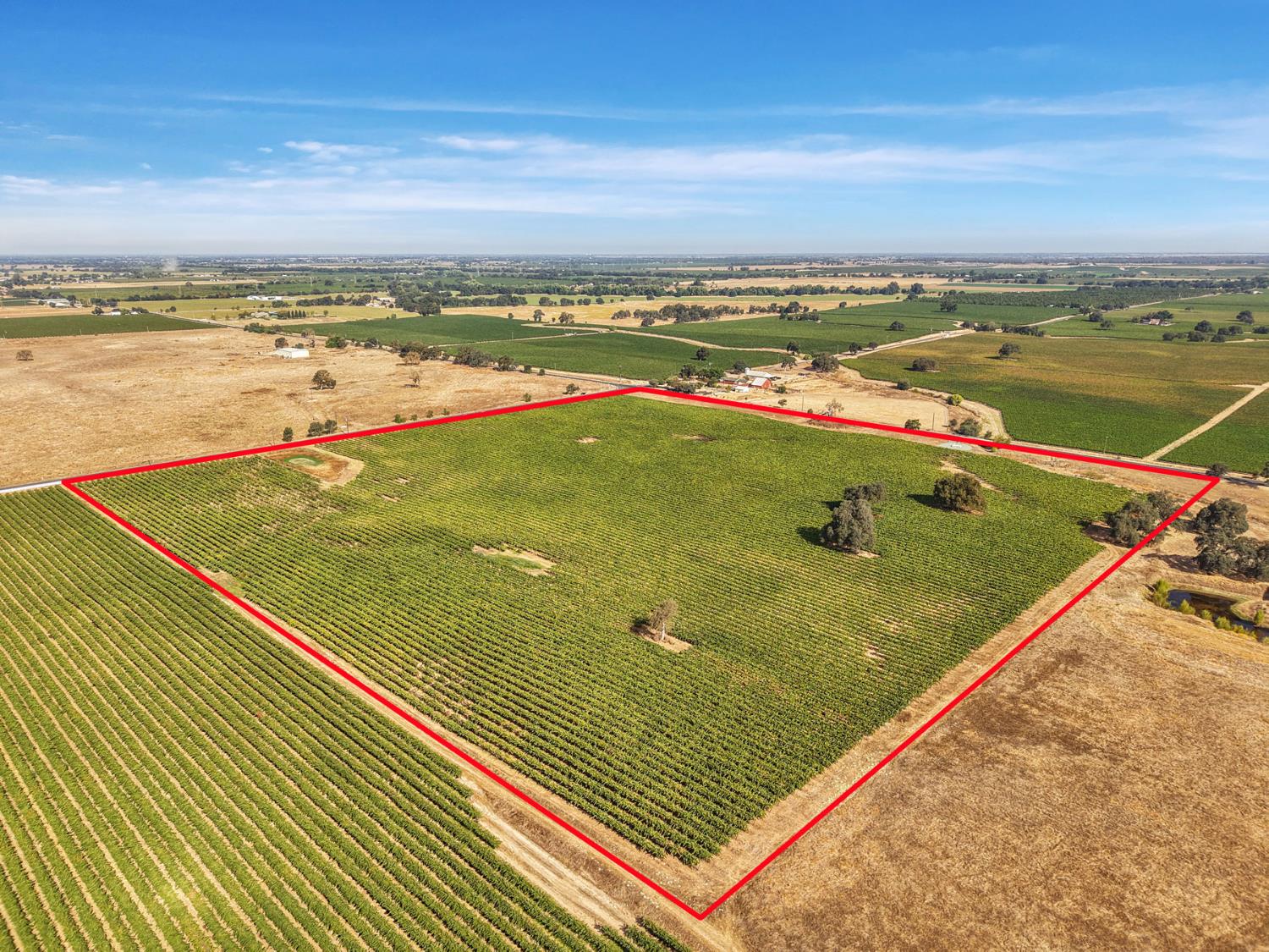 13700 Liberty Road Acampo, CA 95220 - Photo 7 of 22 Gallery Image 7