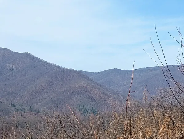 $270,000 | 1215 Battery Hill Lane, Tyro, VA 22976