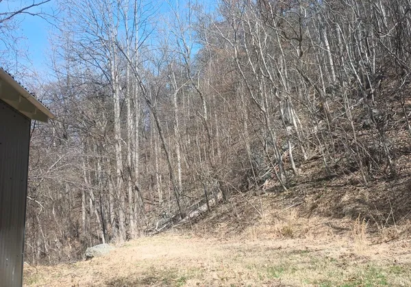 $270,000 | 1215 Battery Hill Lane, Tyro, VA 22976
