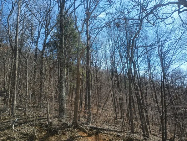 $270,000 | 1215 Battery Hill Lane, Tyro, VA 22976