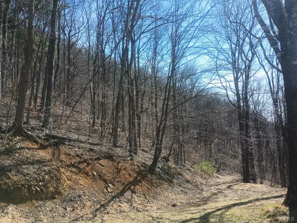 $270,000 | 1215 Battery Hill Lane, Tyro, VA 22976