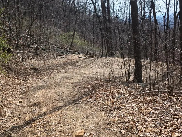 $270,000 | 1215 Battery Hill Lane, Tyro, VA 22976