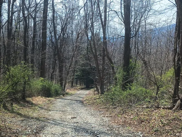 $270,000 | 1215 Battery Hill Lane, Tyro, VA 22976