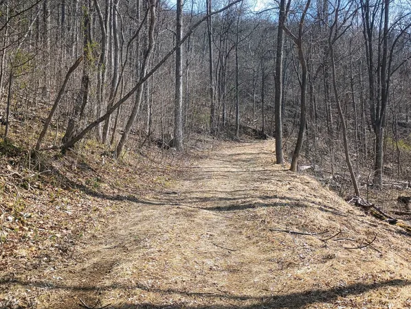 $270,000 | 1215 Battery Hill Lane, Tyro, VA 22976