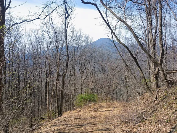 $270,000 | 1215 Battery Hill Lane, Tyro, VA 22976