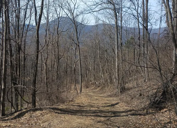 $270,000 | 1215 Battery Hill Lane, Tyro, VA 22976