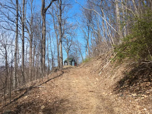 $270,000 | 1215 Battery Hill Lane, Tyro, VA 22976