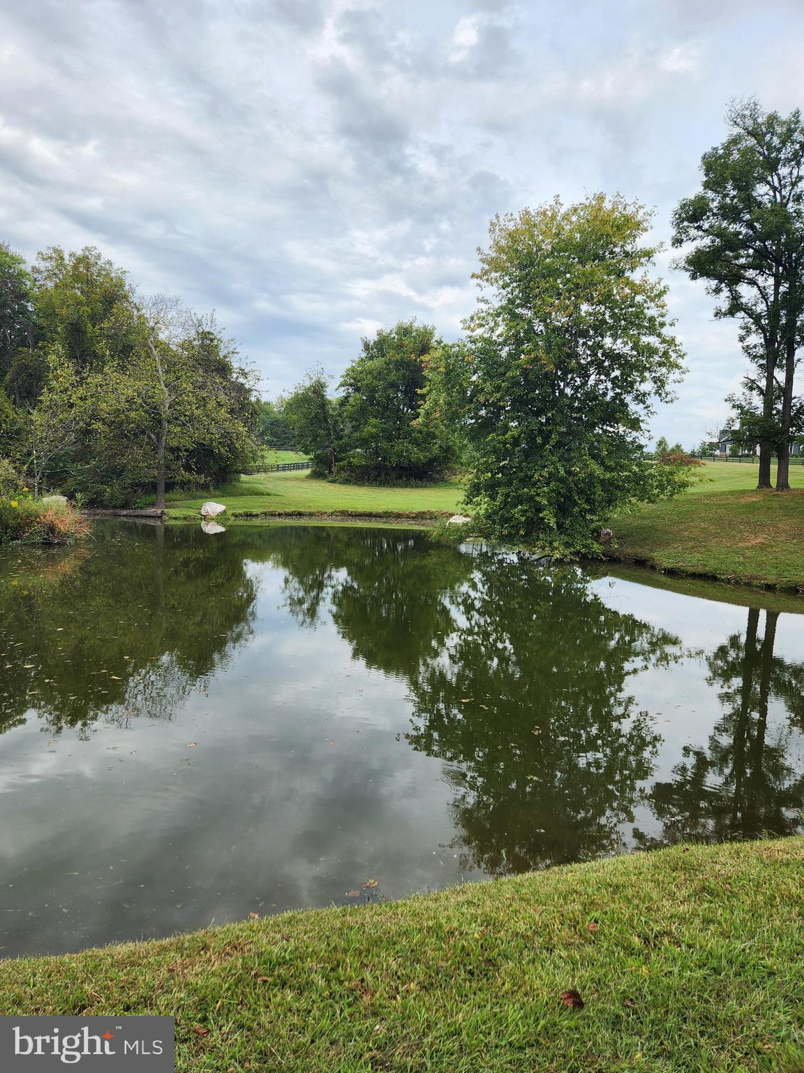 Beautiful pond  14 ft deep stock with fish!