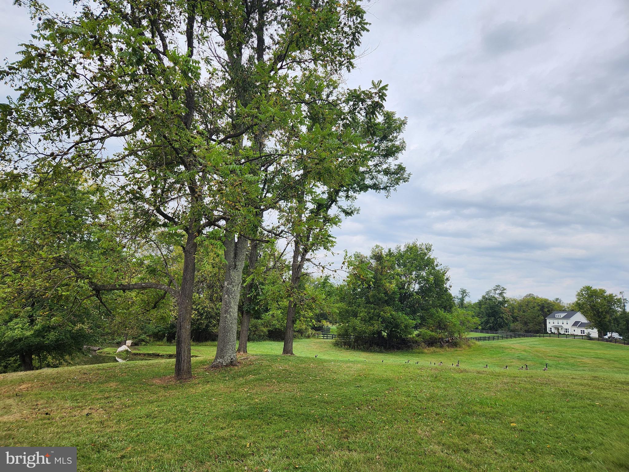 Shoemaker School Road Purcellville, VA 20132 - Photo 12 of 27 Gallery Image 12