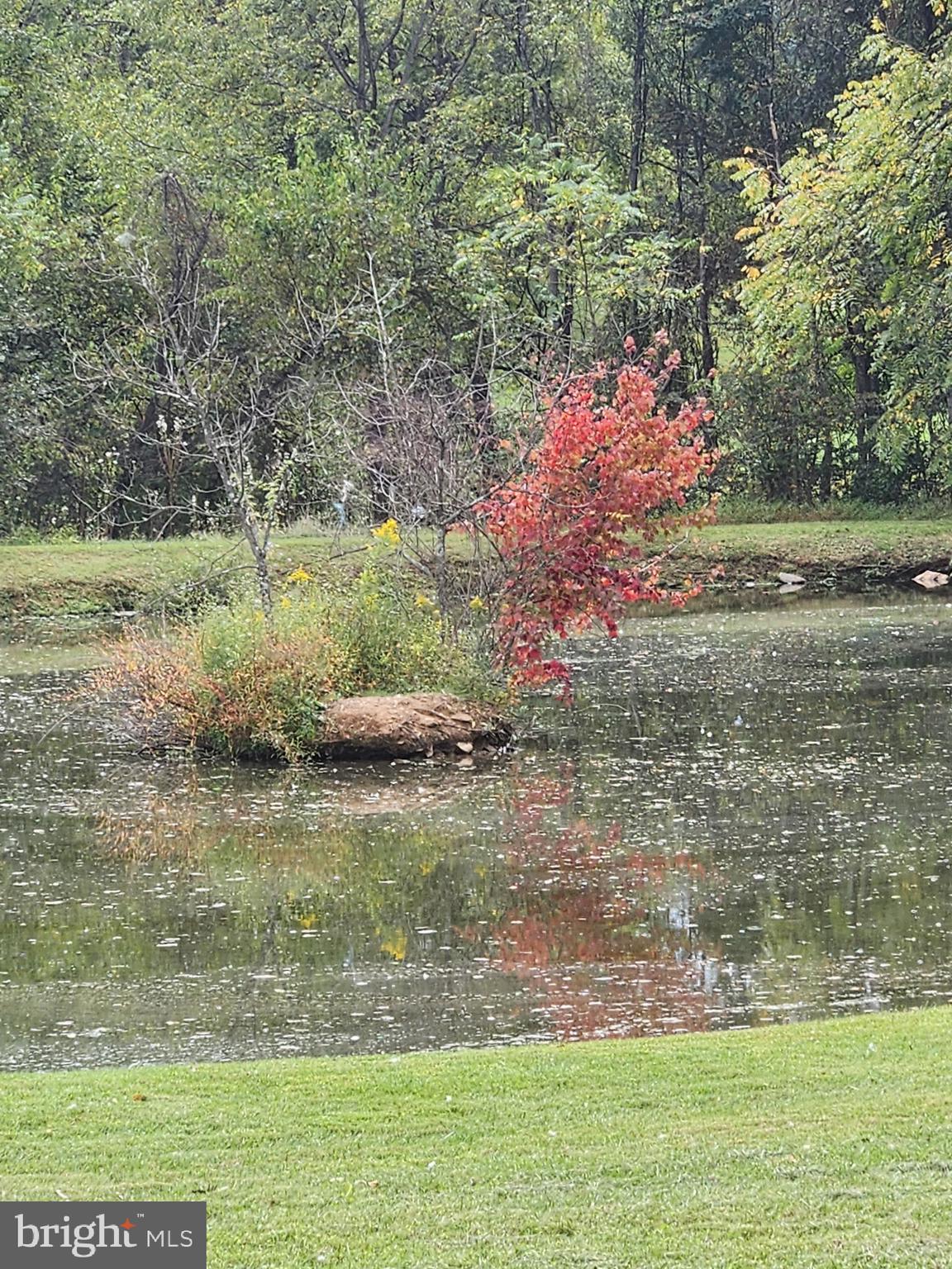 Shoemaker School Road Purcellville, VA 20132 - Photo 18 of 27 Island on the pond