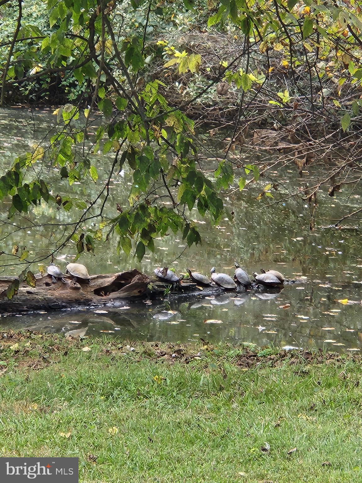 Shoemaker School Road Purcellville, VA 20132 - Photo 26 of 27 Gallery Image 26