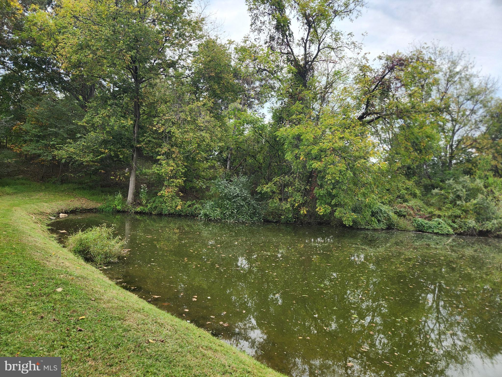 Shoemaker School Road Purcellville, VA 20132 - Photo 8 of 27 Pond