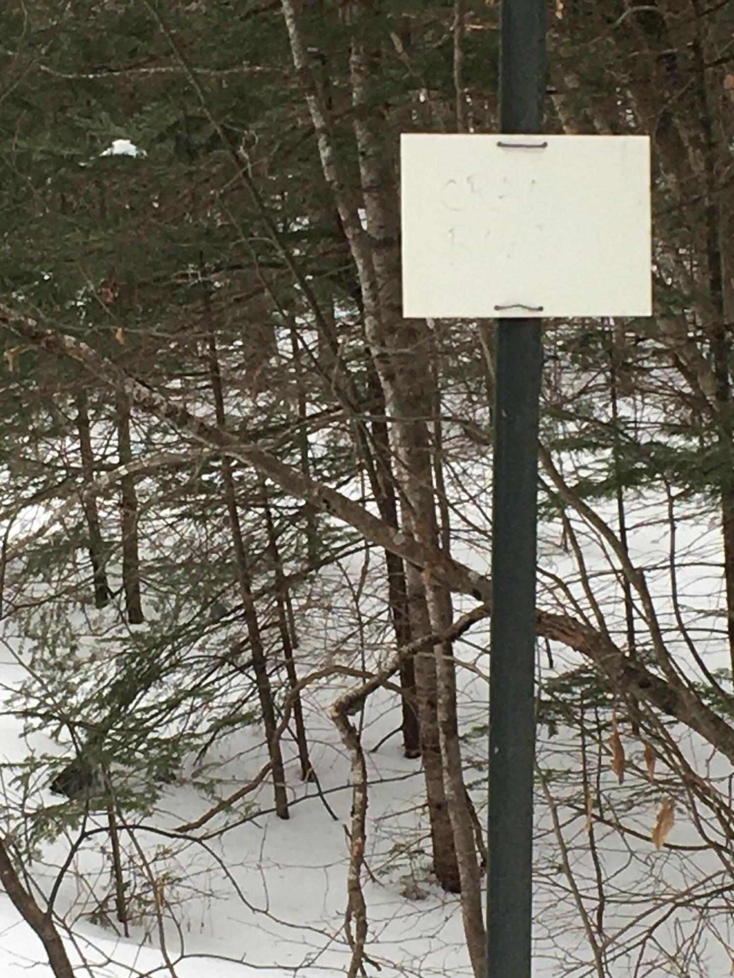 Lot 11 Cram Road Montville, ME 04941 - Photo 4 of 4 cram 2