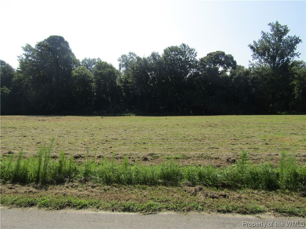 2212 Cobham Wharf Road Surry, VA 23883 - Photo 1 of 9 Gallery Image 1