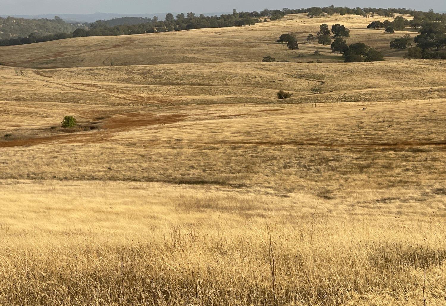 0 Hawk Trail Shingle Springs, CA 95682 - Photo 17 of 37