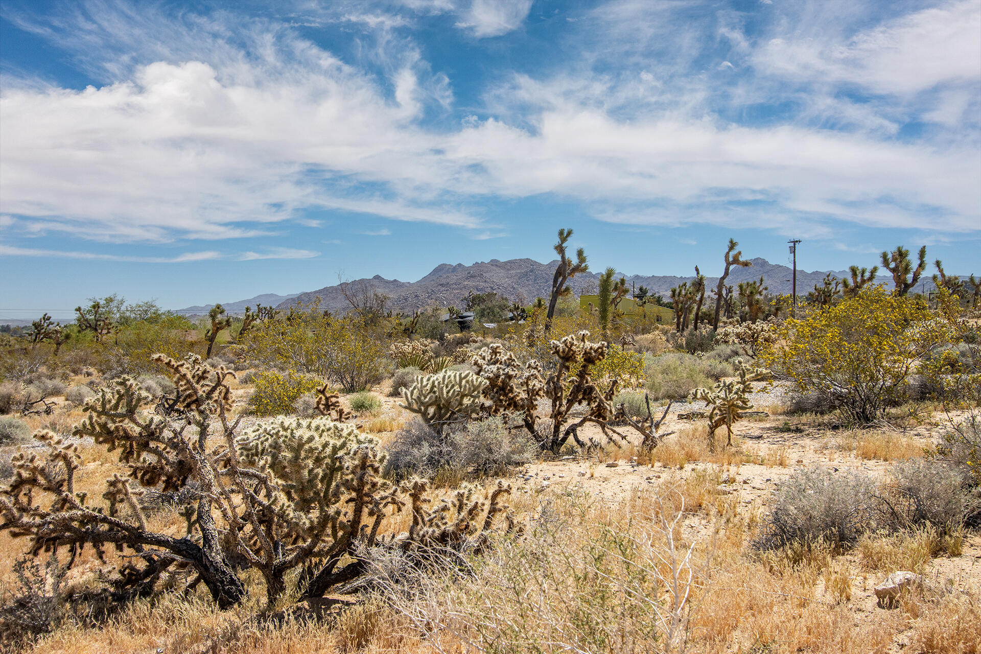 6655 Saddleback Road Joshua Tree, CA 92252 - Photo 10 of 17 IMG_8025