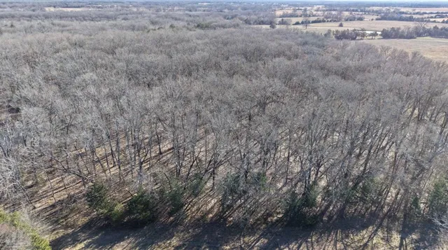 a view of wooden floor