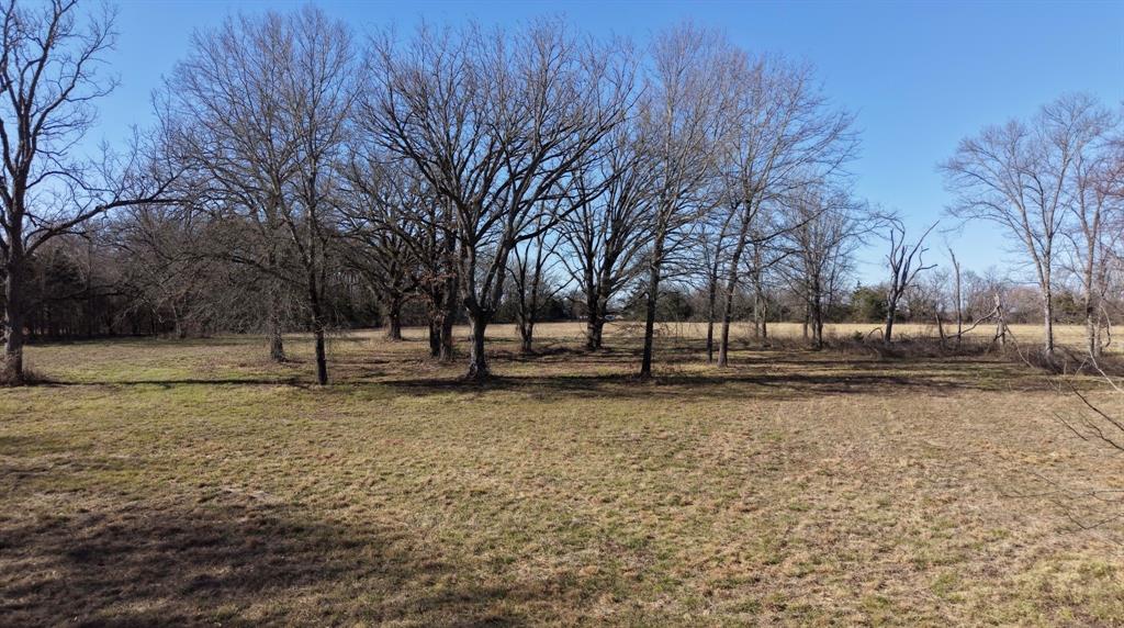 0 Fm 1498 Paris, TX 75462 - Photo 3 of 15 a view of road with trees