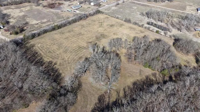 a view of a dry yard with trees