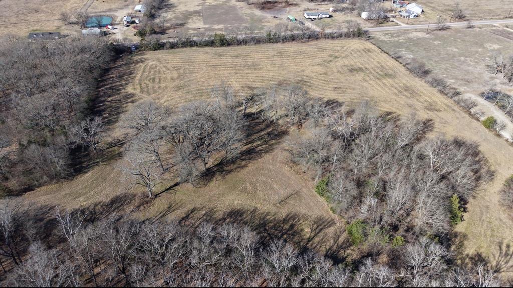 0 Fm 1498 Paris, TX 75462 - Photo 7 of 15 a view of a yard with plants and large trees