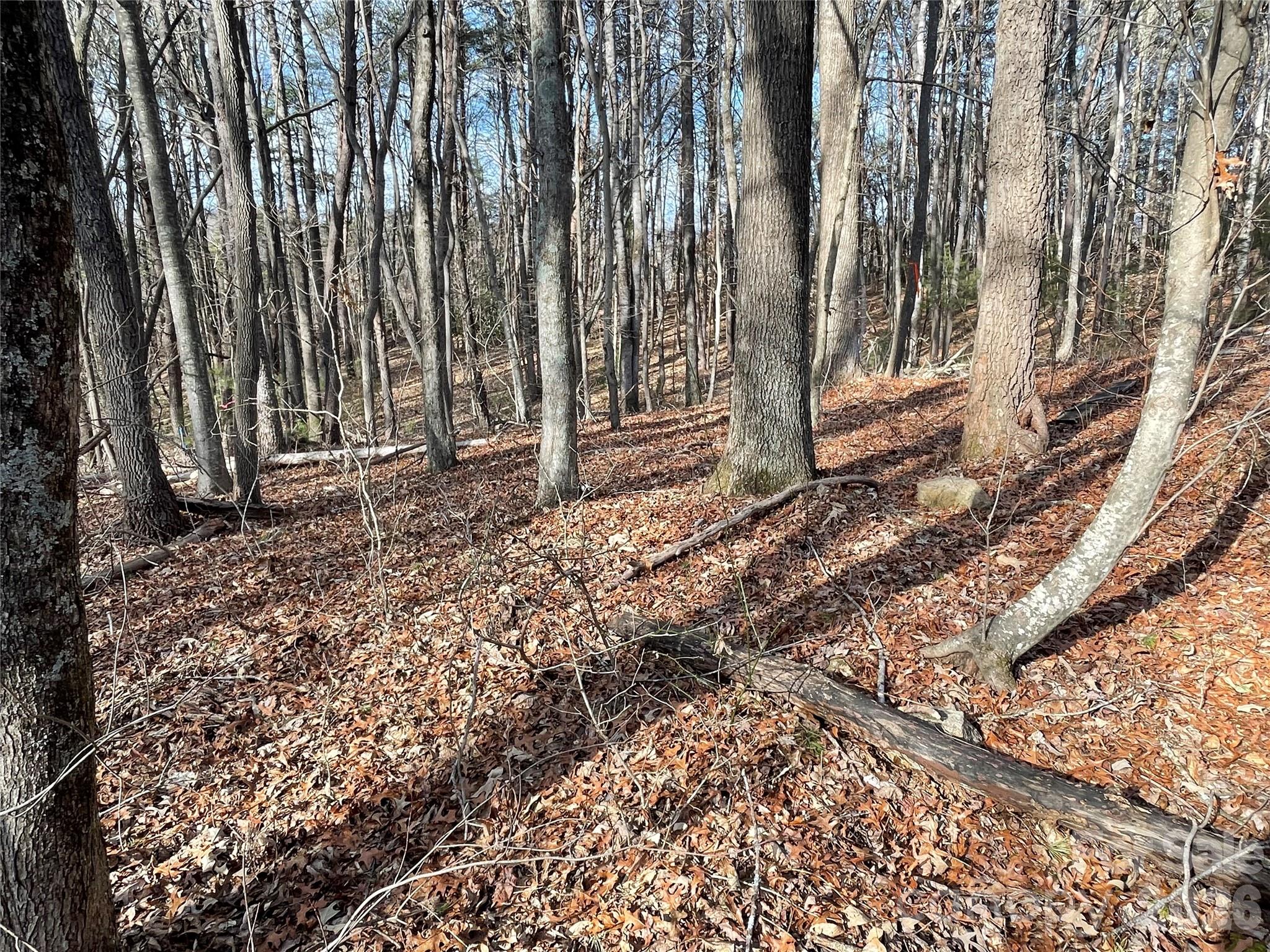 220 Max Metcalf Road Swannanoa, NC 28778 - Photo 1 of 16