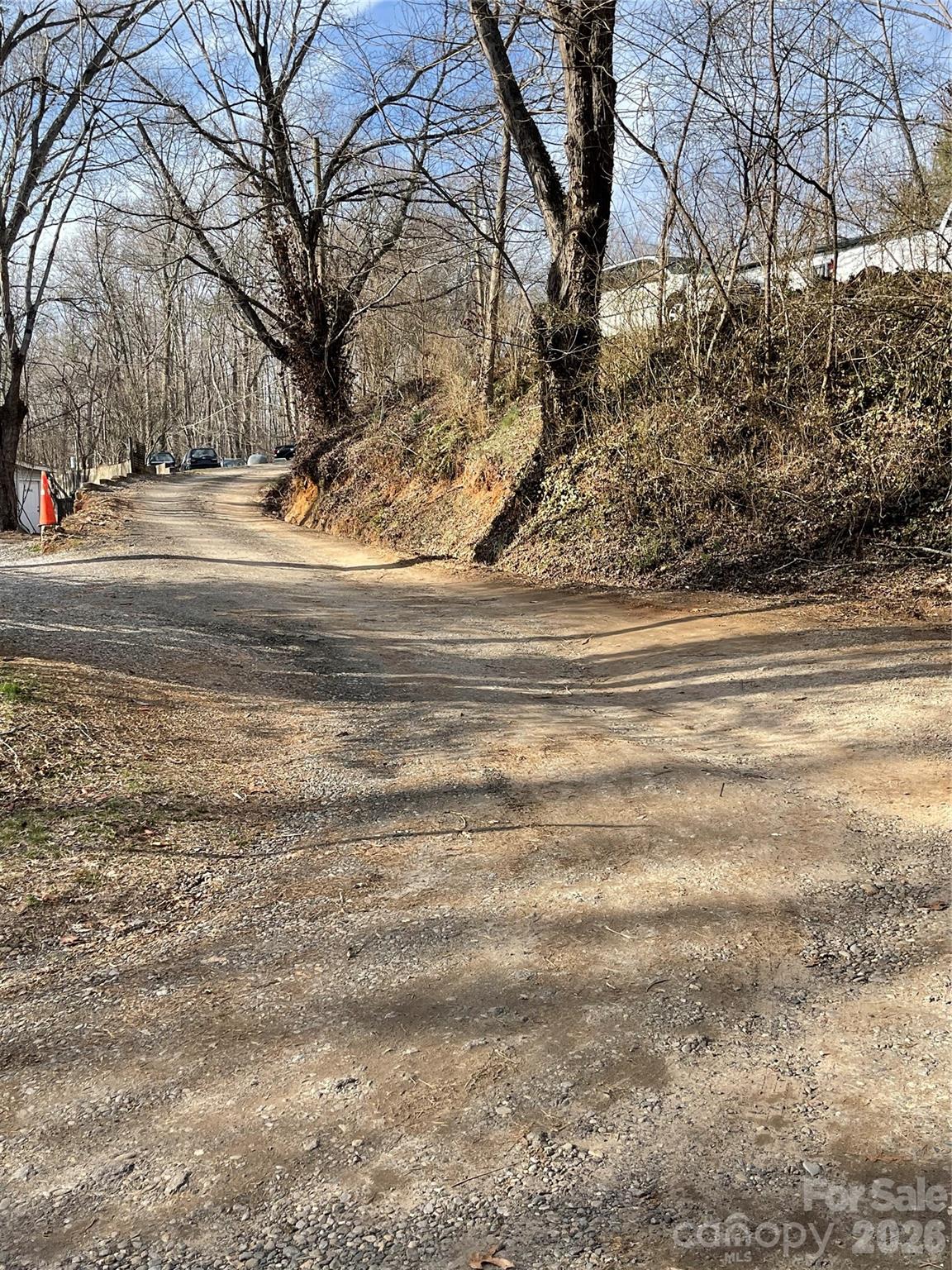 220 Max Metcalf Road Swannanoa, NC 28778 - Photo 12 of 16