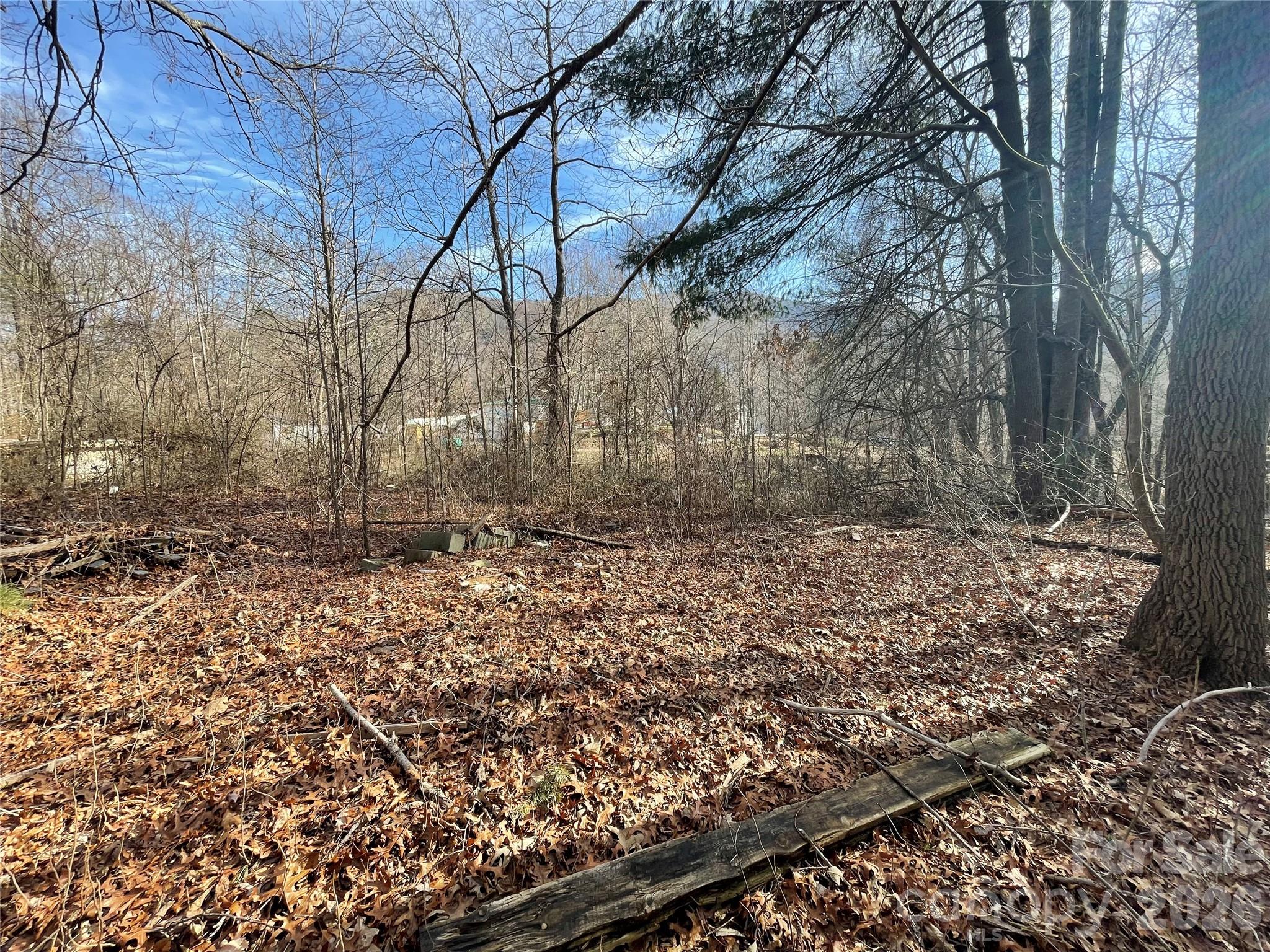 220 Max Metcalf Road Swannanoa, NC 28778 - Photo 4 of 16