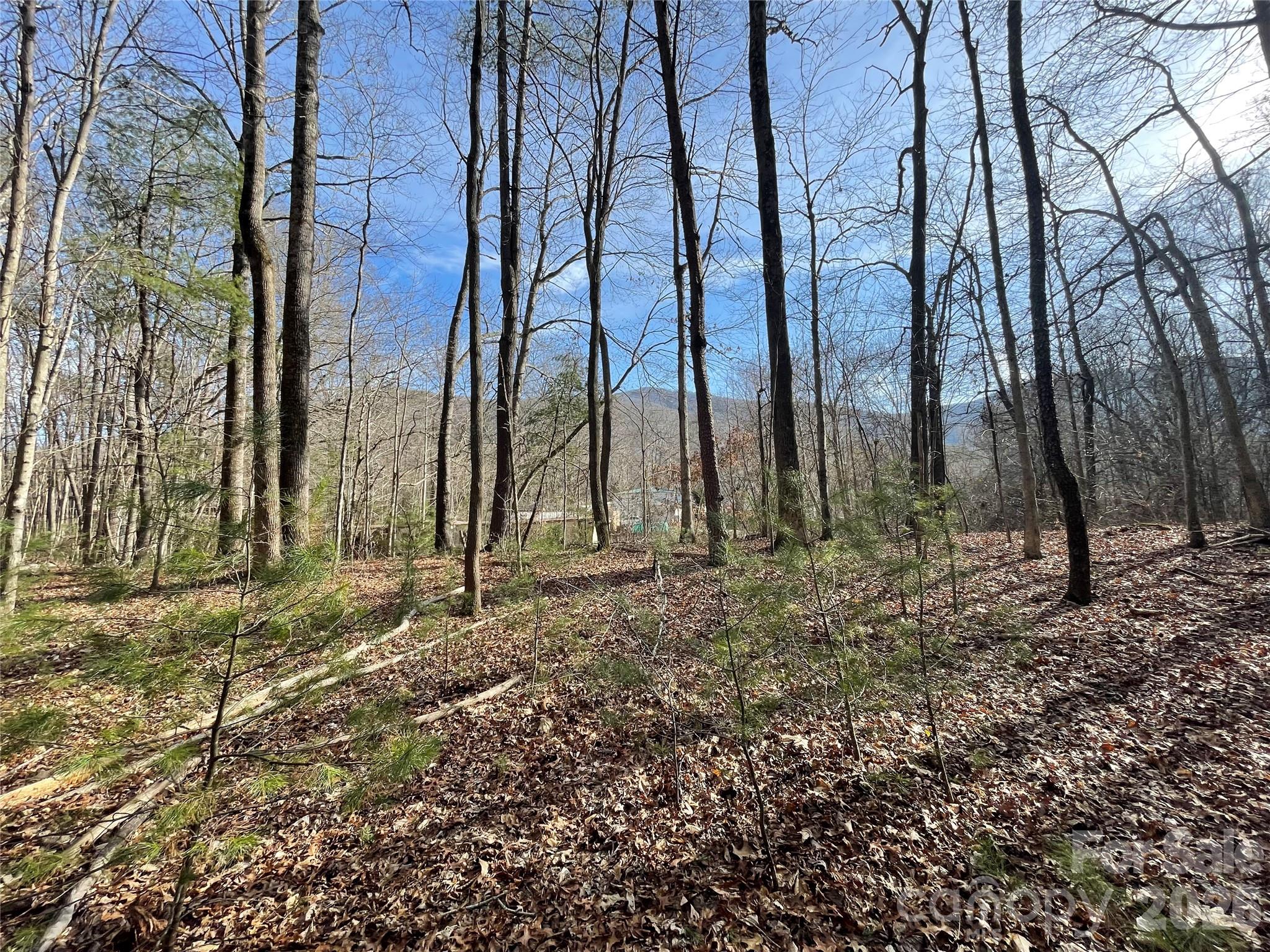 220 Max Metcalf Road Swannanoa, NC 28778 - Photo 5 of 16