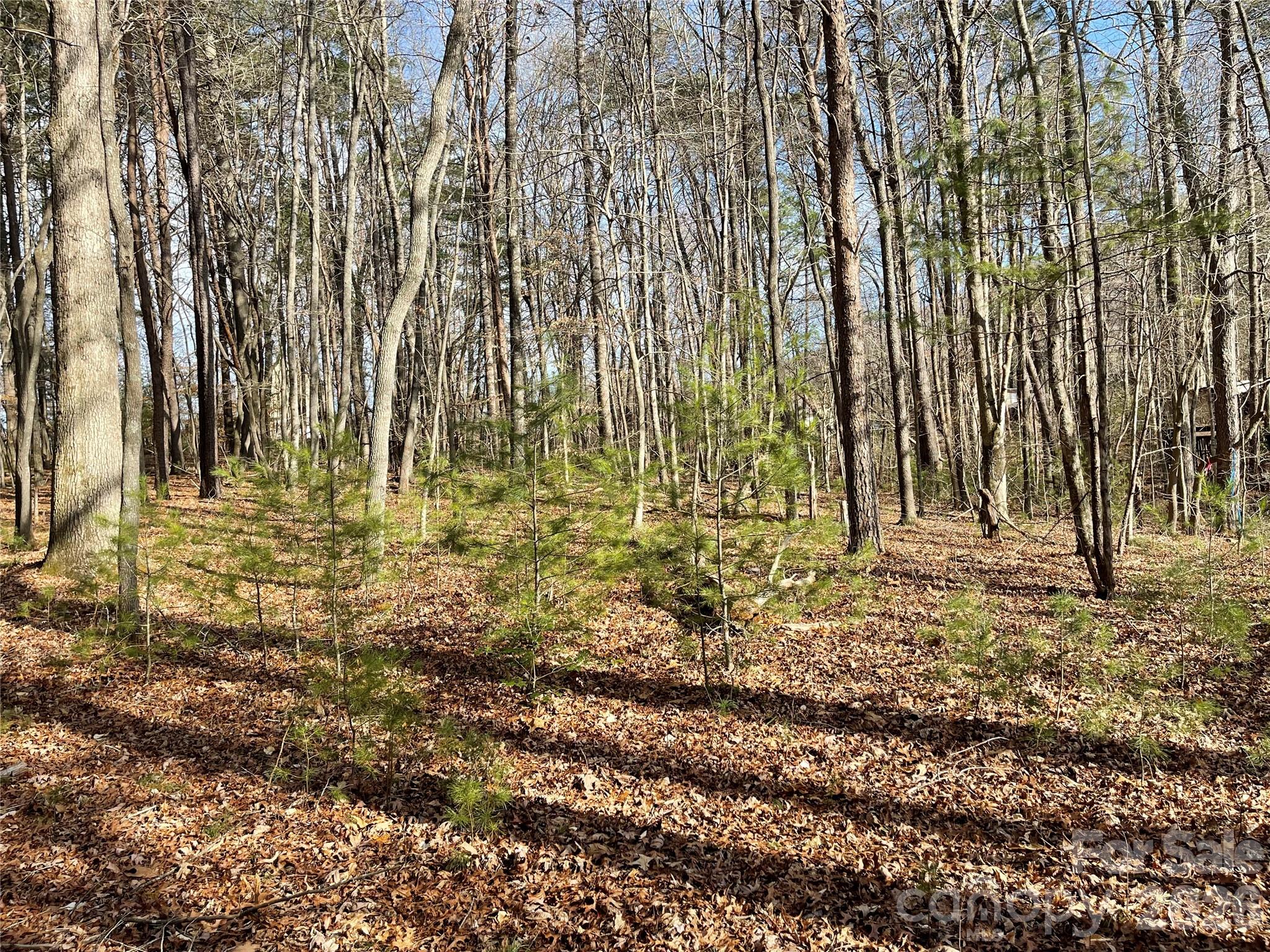 220 Max Metcalf Road Swannanoa, NC 28778 - Photo 7 of 16