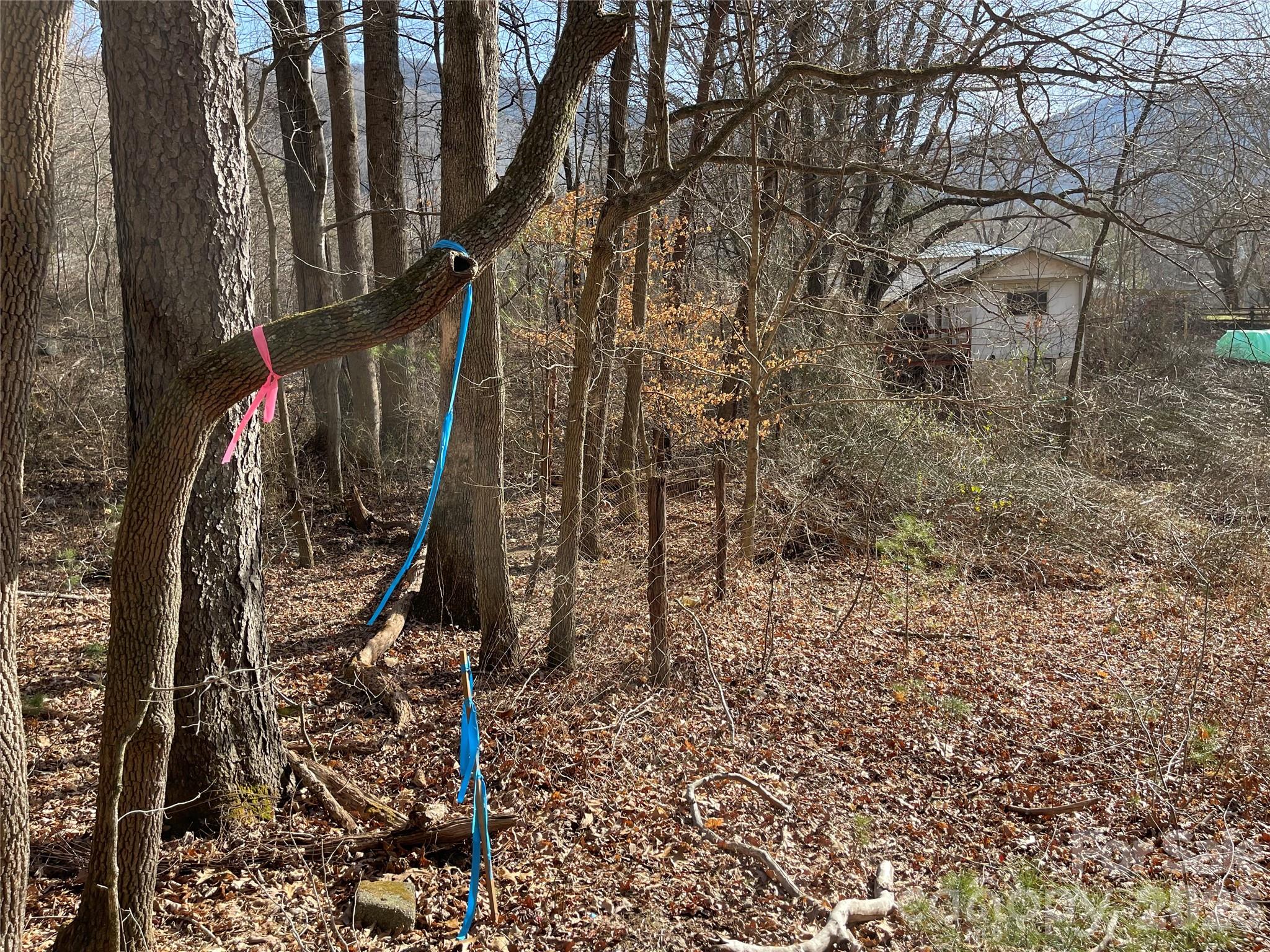 220 Max Metcalf Road Swannanoa, NC 28778 - Photo 8 of 16