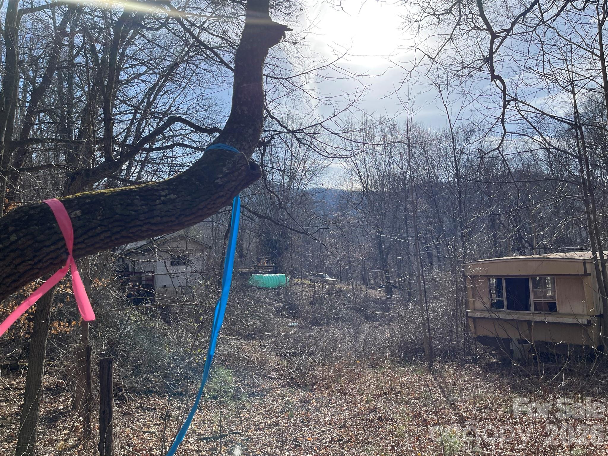 220 Max Metcalf Road Swannanoa, NC 28778 - Photo 9 of 16