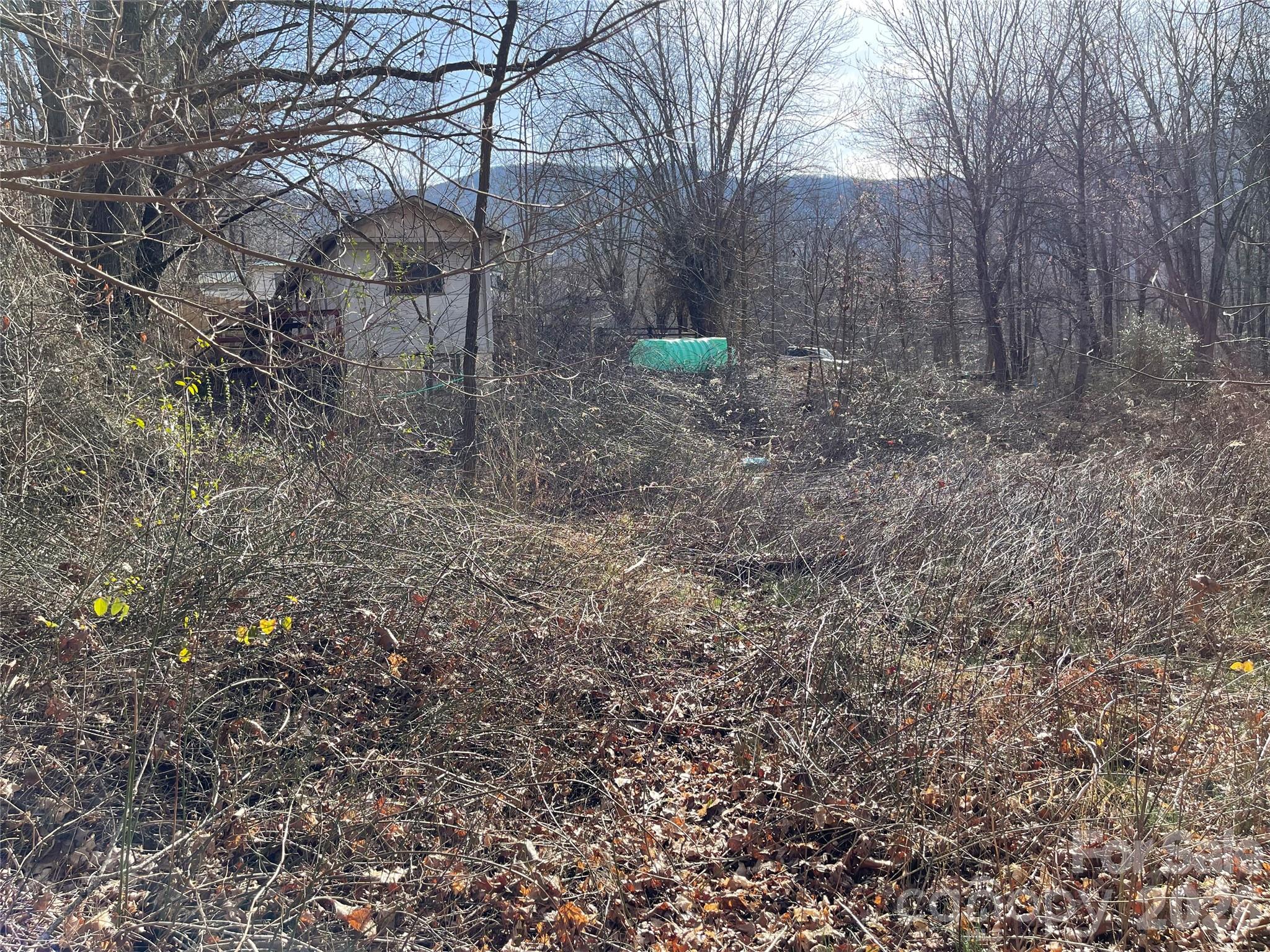 220 Max Metcalf Road Swannanoa, NC 28778 - Photo 10 of 16
