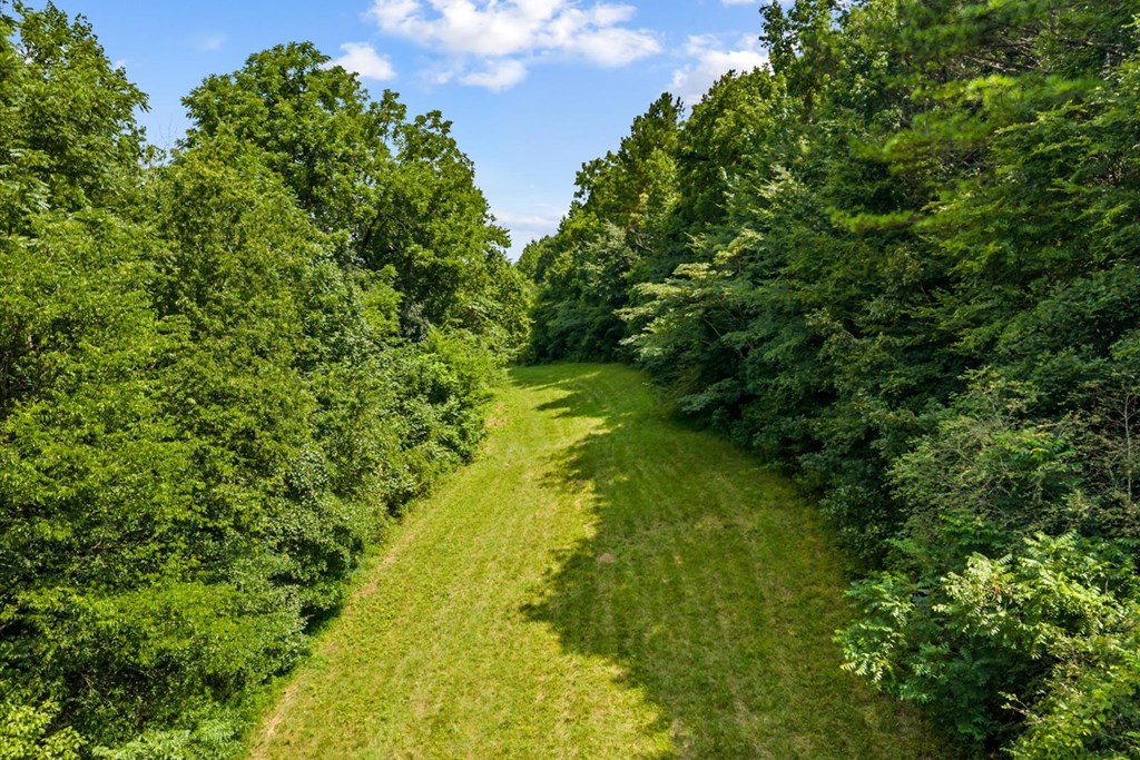 0 Wilson Caldwell Road Cohutta, GA 30710 - Photo 8 of 22 Gallery Image 8