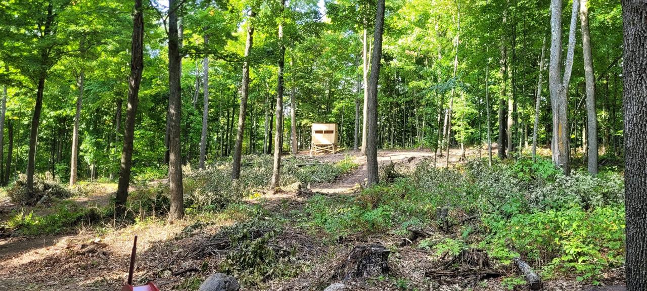 N7403 Begin Road Deerbrook, WI 54424 - Photo 29 of 66 Gallery Image 29